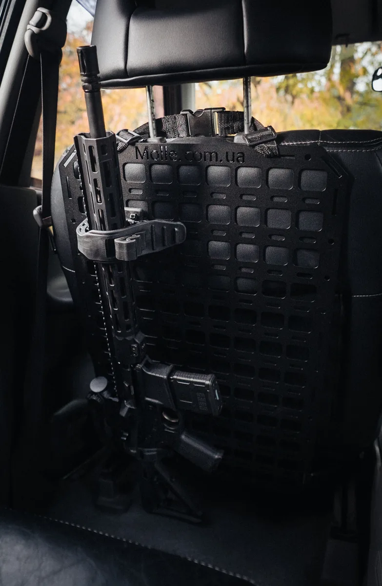 AR-15 на підголовнику в авто